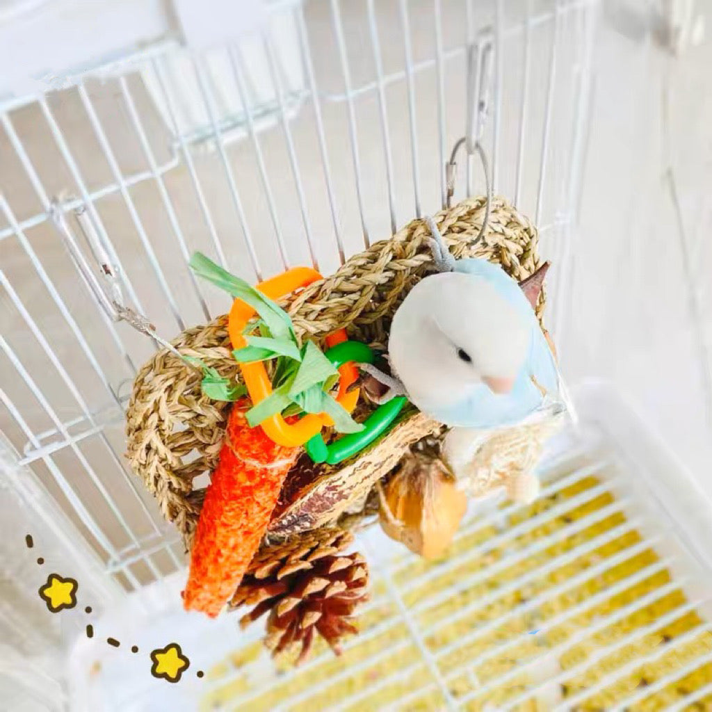 Diy parrot outlet toys