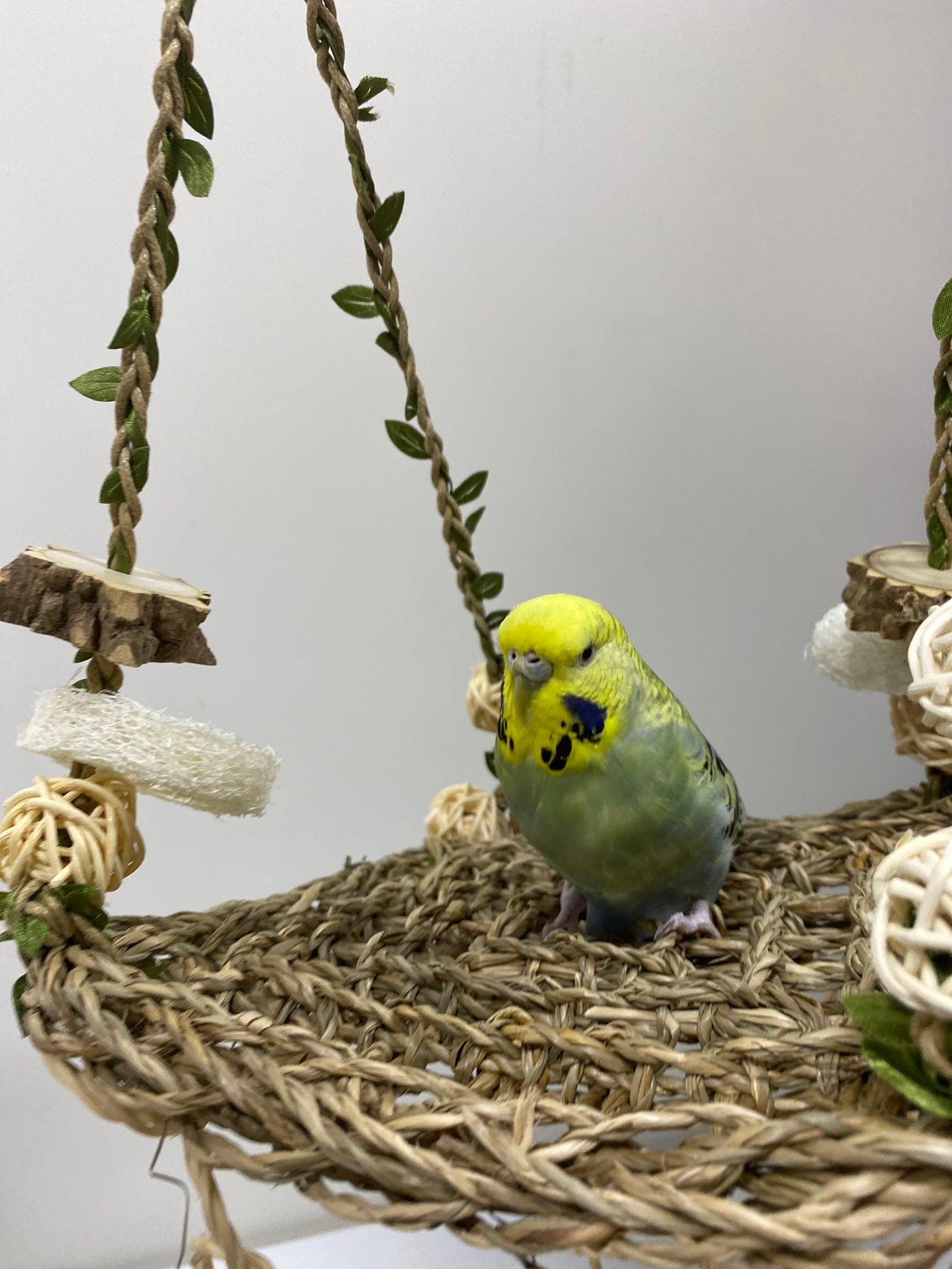 44x18cm Natural Style Big Seagrass Hammock Swings Bed Parrot Toys Hanging Toy Handmade Bird Organic Bird Cages Accessories for small medium bird