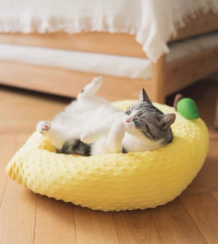 Yellow Lemon Soft Cat Room | Cat House | Cat Bed | Cat Playground | Puppy Bed | Pet Furniture | Bunny Rabbit House