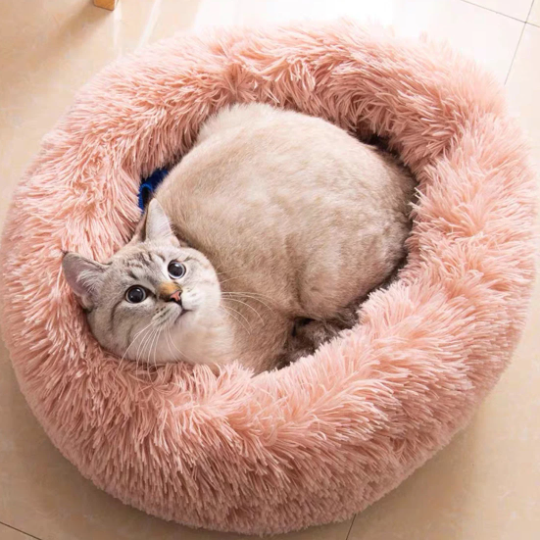 Fluffy and Soft Cute Comfort Kitten Cat Pet Bed House Puppy Bed Furniture