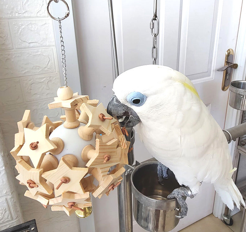 30x15cm Natural Style Wooden Star Ball Bite Hanging Natural Parrot Birdie Toy for Medium Large Size Parrot Cages Accessories