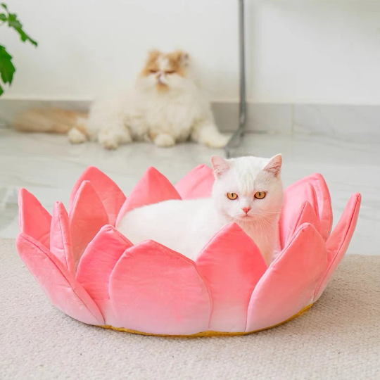 Cute Lotus Kitten Pet Bed | Cat Scratcher |Cat House |Puppy bed | Pet furniture