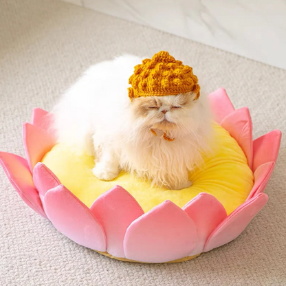 Cute Lotus Kitten Pet Bed | Cat Scratcher |Cat House |Puppy bed | Pet furniture