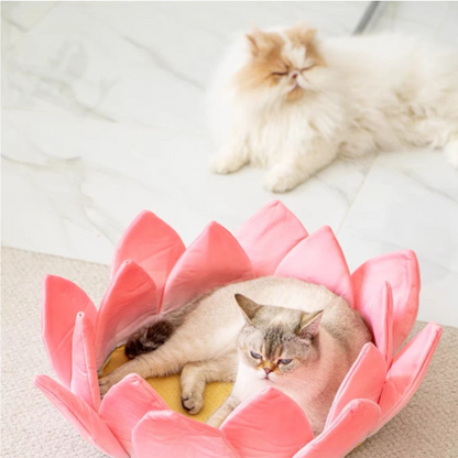 Cute Lotus Kitten Pet Bed | Cat Scratcher |Cat House |Puppy bed | Pet furniture