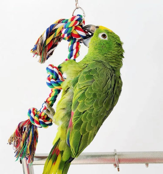 25cm Giant Rope Climbing Bite Hanging Parrot Birdie Toy for Medium Large Size Parrot Cages Accessories