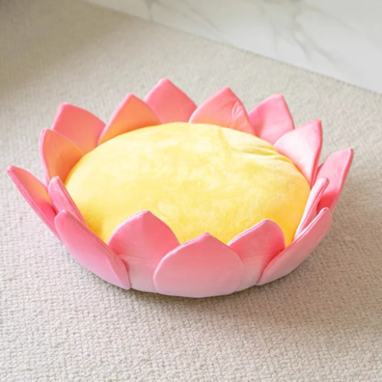 Cute Lotus Kitten Pet Bed | Cat Scratcher |Cat House |Puppy bed | Pet furniture