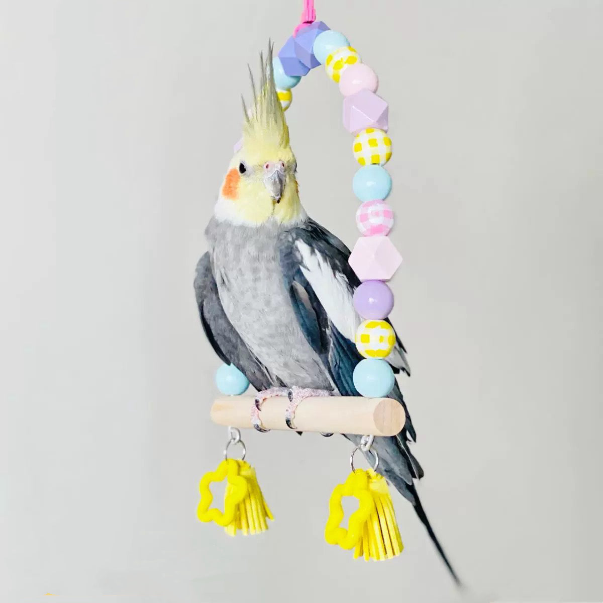 17x15cm Pastel Colourful Stars Swings for Small Medium Birds Parrot Toys Handmade Organic Bird Cages Accessories