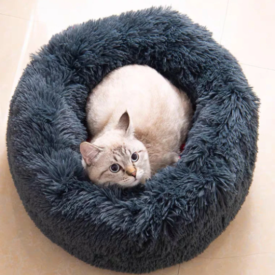 Fluffy and Soft Cute Comfort Kitten Cat Pet Bed House Puppy Bed Furniture