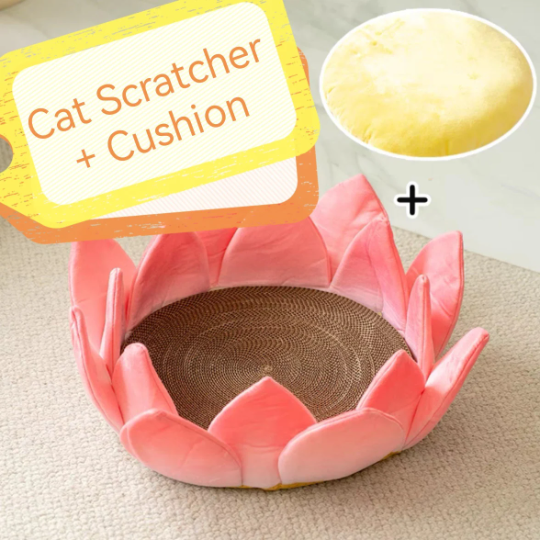 Cute Lotus Kitten Pet Bed | Cat Scratcher |Cat House |Puppy bed | Pet furniture