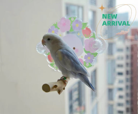 Sping Flower Theme | Pink Flora & Blue Yellow Tulip - Acrylic Parrot Window Bird Wooden Perch Stickers Stand for Small Medium Bird Parrot Lovebird Budgie