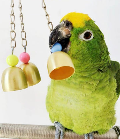 20cm Bells Hanging Natural Parrot Birdie Toy for Medium Large Size Parrot Cages Accessories