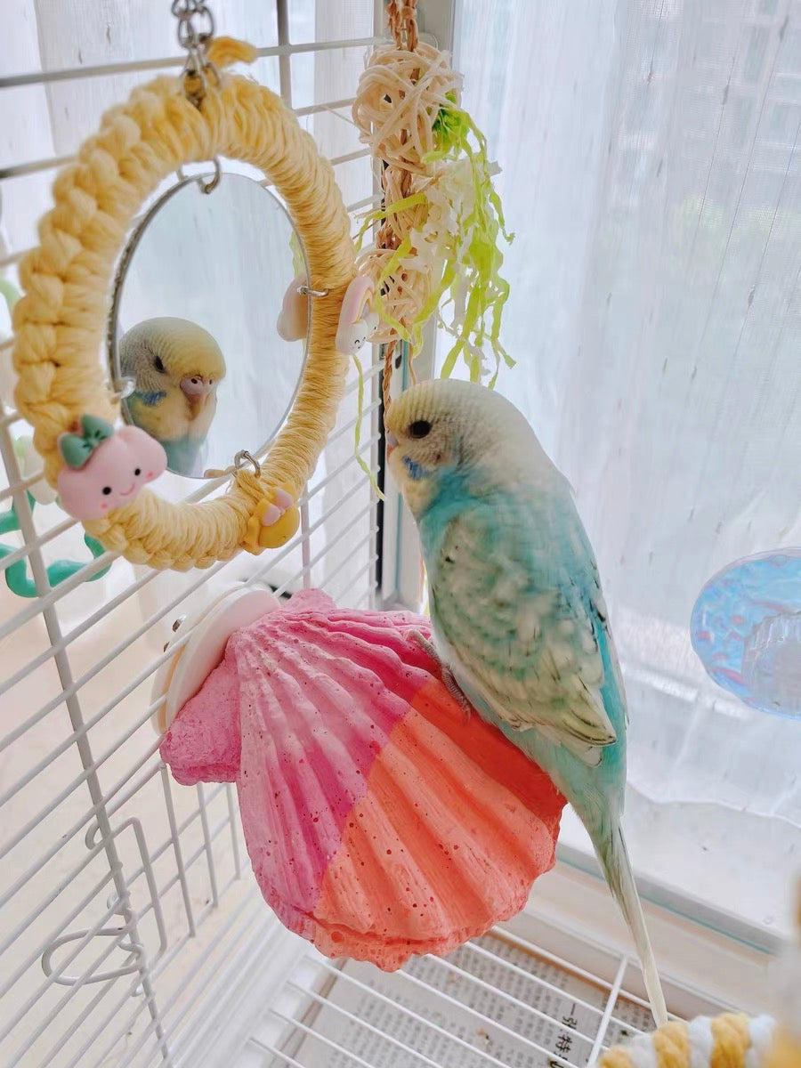 Budgie toys fashion accessories