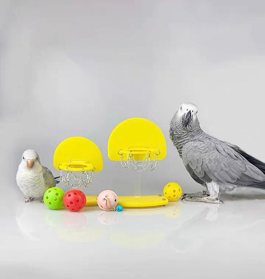 15-18cm M L Size Medium Large Size Parrot Basketball Hoop with 5 Plastic Balls Bird Intelligence Training Toy Parrot Educational Toys