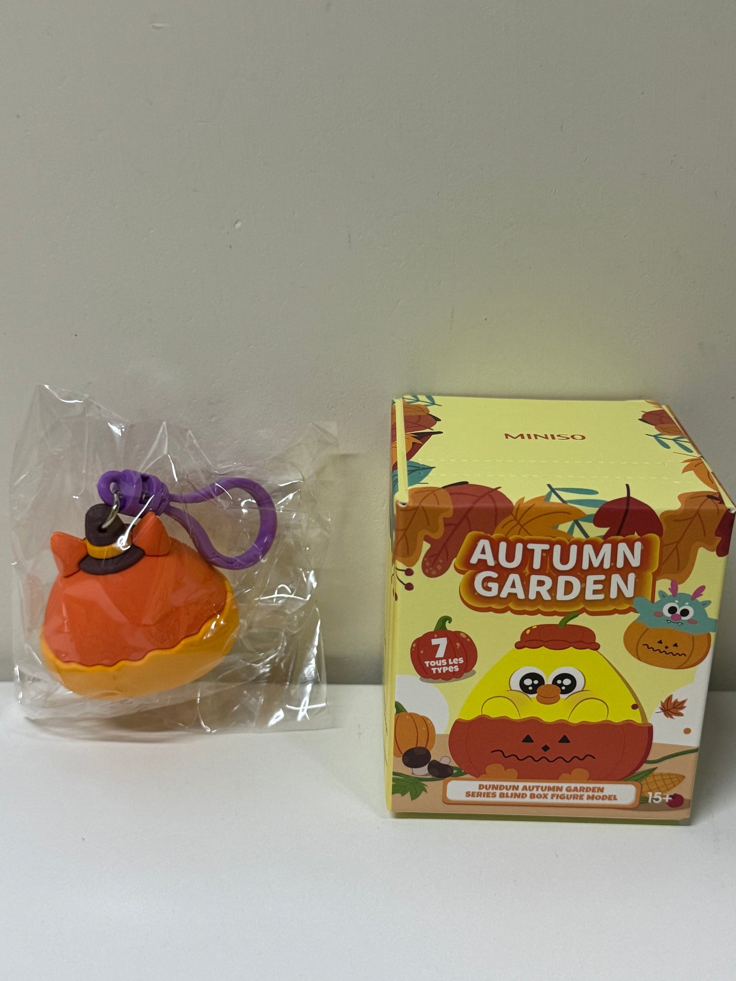 Lovely Chicken Fat Dundun Autumn Garden Plastic Keychain | Secret Pumpkin Witch Fox Dunny - Children Gift Animal Blind Box