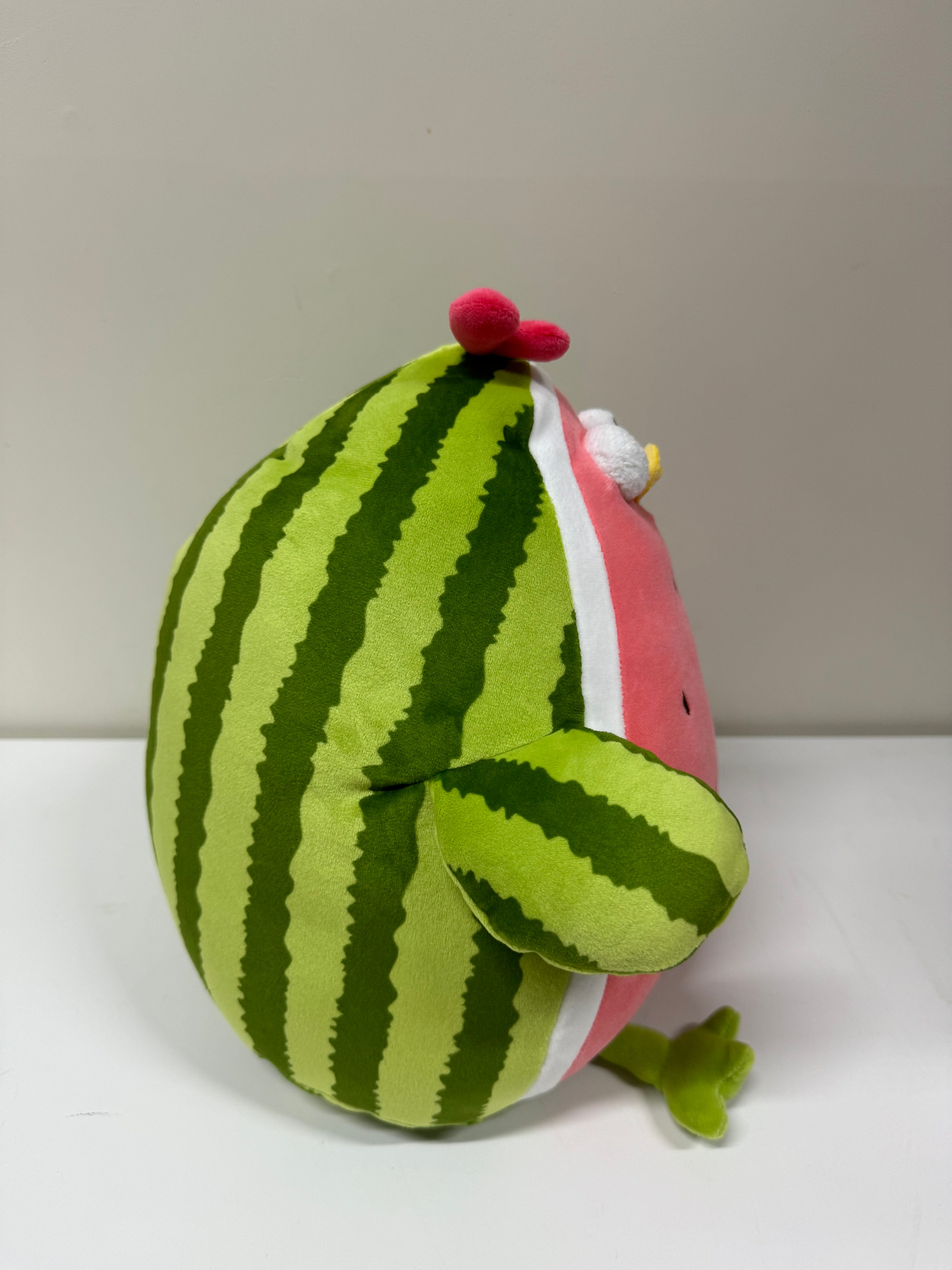 Enesco home grown- on sale watermelon whale