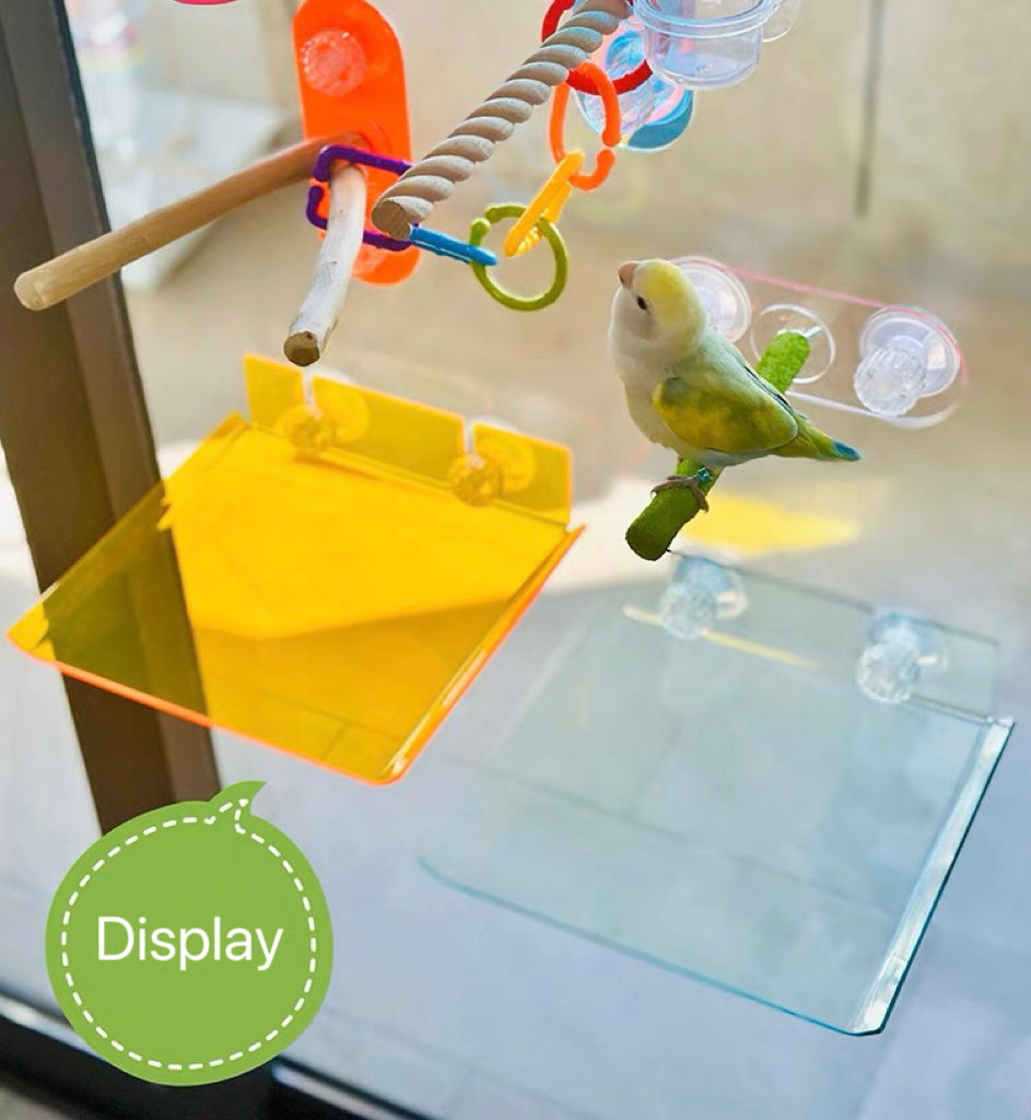 22x20cm New Design Acrylic Pupu Catcher for Parrot Window Playground