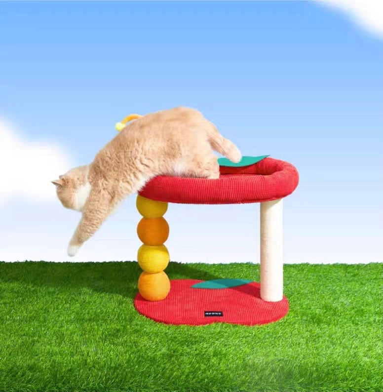 49x40x40cm Red Bad Apple with Worm Small Cat Tree | Cat Scratcher | Cat House | Cat bed | Cat Playground | Pet furniture