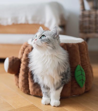 Forest Tree Cat Room | Cat House | Cat bed | Cat Playground | Pet Furniture | Bunny Rabbit House