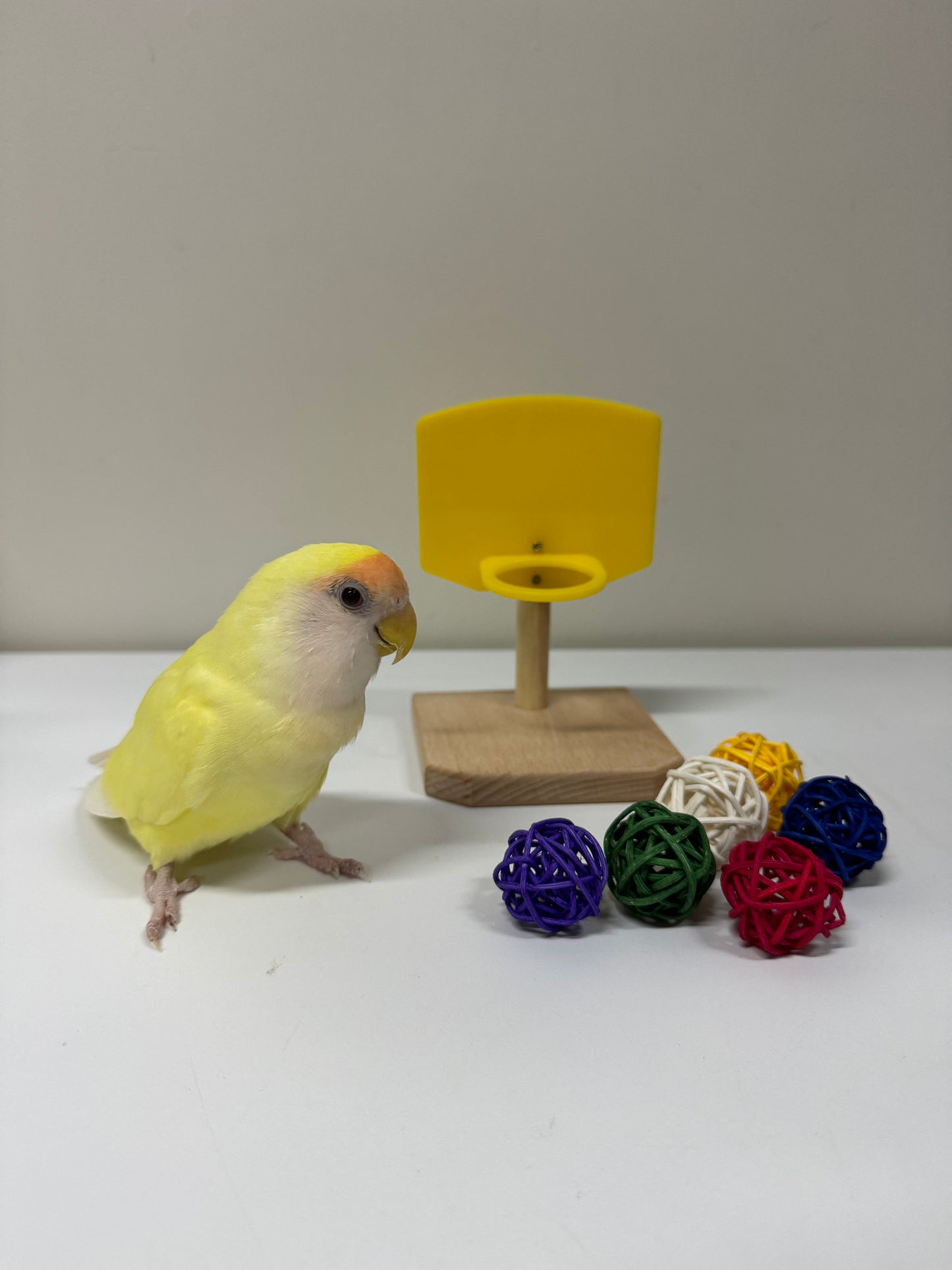 12cm Wooden Small Size Parrot Basketball Hoop with 6 Takraw Balls Bird Intelligence Training Toy Parrot Educational Toys Parrot Toys