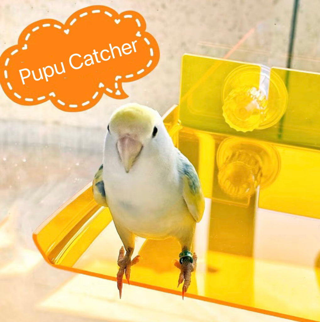 22x20cm New Design Acrylic Pupu Catcher for Parrot Window Playground