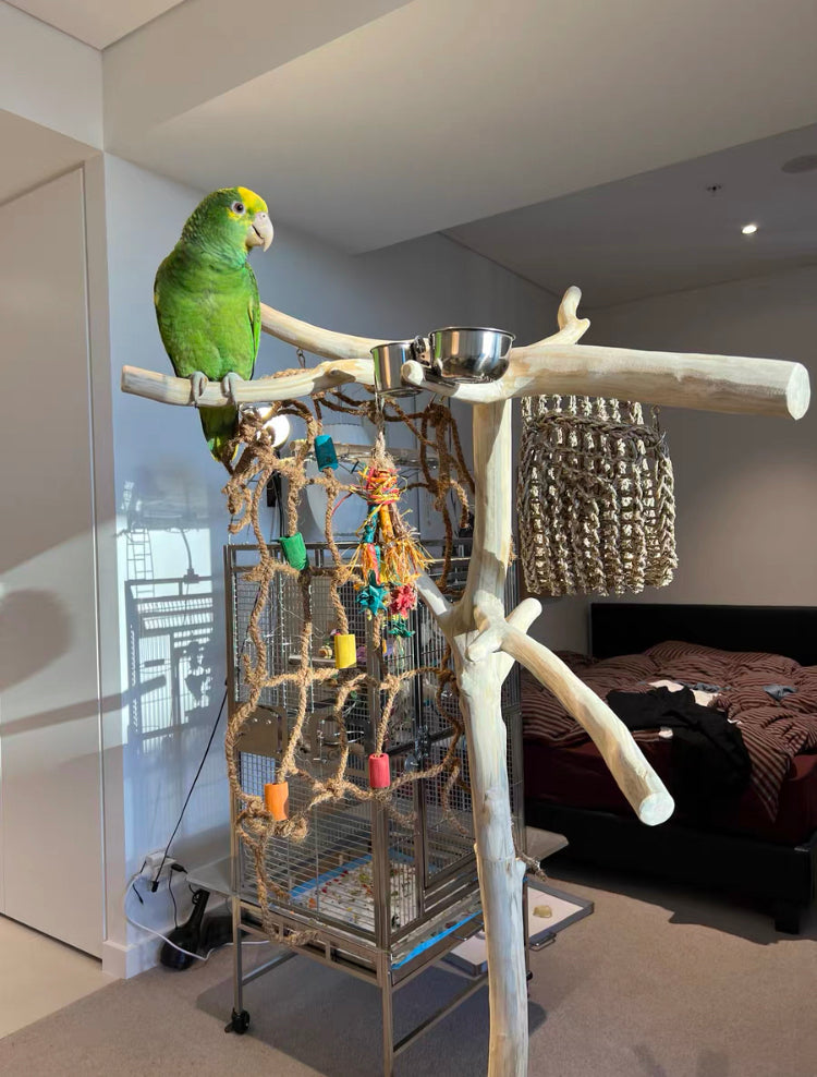 Large Hanging Wood Parrot high quality Play Gym