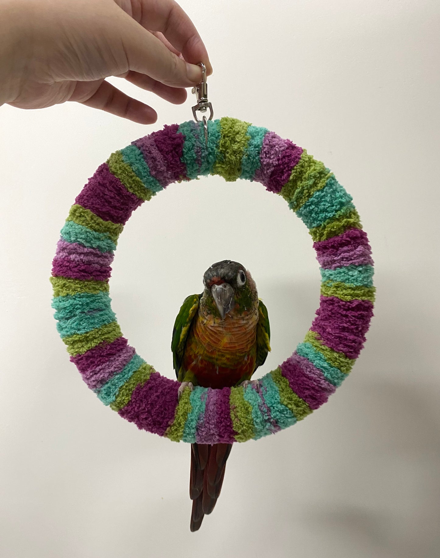 New Colour 17.5cm Tropical Green Purple Yarn Knitting Ring Swings Parrot Birdie Toy