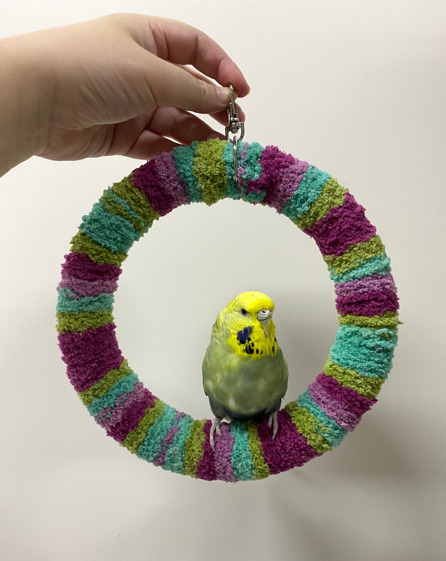 New Colour 17.5cm Tropical Green Purple Yarn Knitting Ring Swings Parrot Birdie Toy