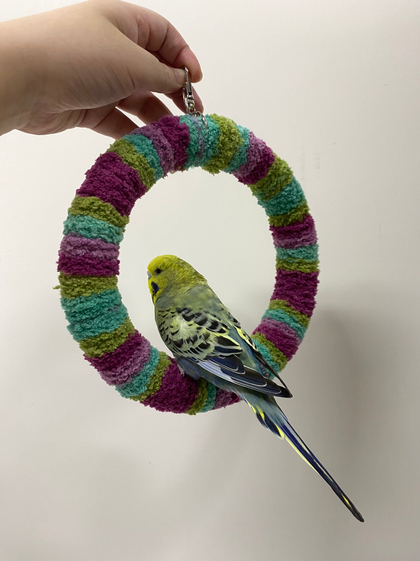 New Colour 17.5cm Tropical Green Purple Yarn Knitting Ring Swings Parrot Birdie Toy