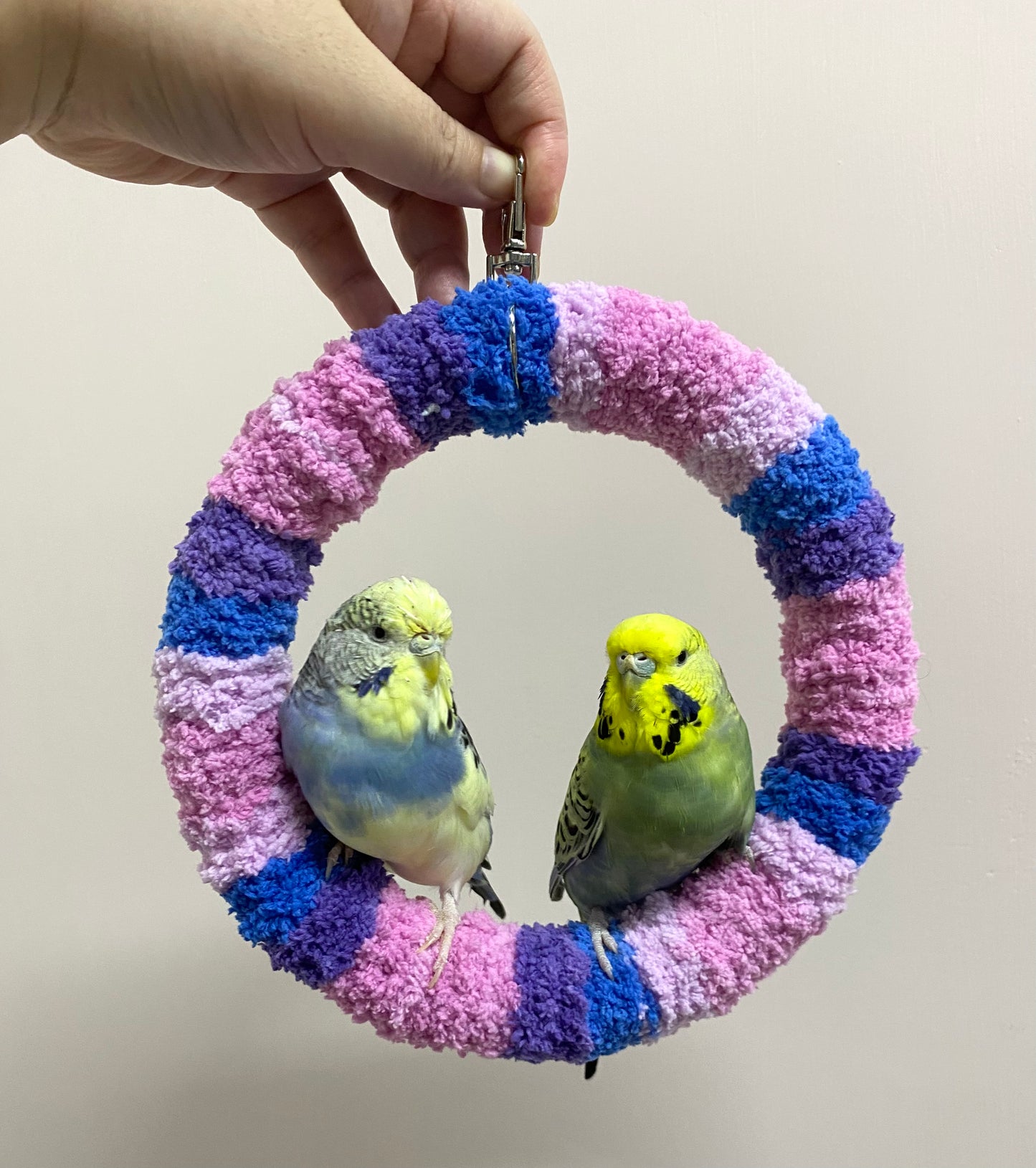 +Handmade+17.5cm Blueberry Pink Blue Purple Yarn Knitting Ring Swings Parrot Birdie Toy