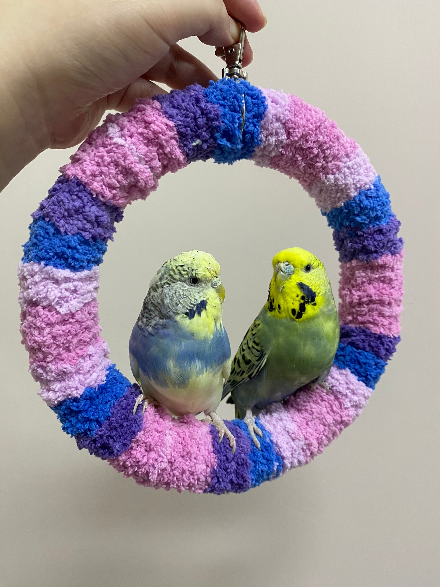 +Handmade+17.5cm Blueberry Pink Blue Purple Yarn Knitting Ring Swings Parrot Birdie Toy