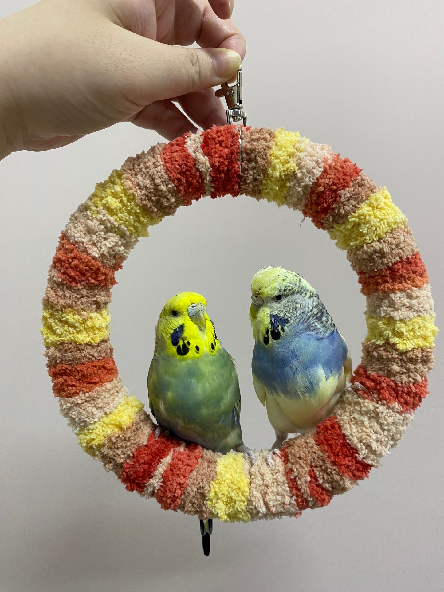 New Colour 17.5cm Pudding Yellow Brown Red Yarn Knitting Ring Swings Parrot Birdie Toy