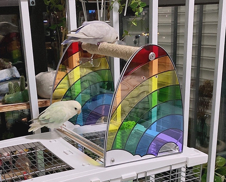 Handmade Rainbow Acrylic Stand with Wooden Branch Organic Bird Cages Accessories Lovebird Budgie Pacific Parrotlet