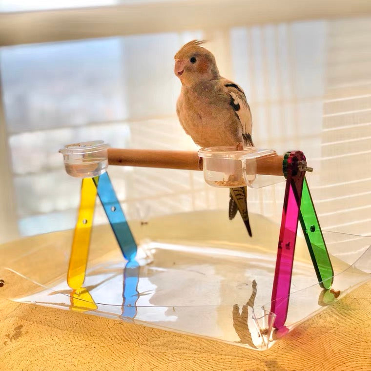 Handmade Foldable Acrylic Stand with Wooden Branch with Plastic Pad Organic Bird Cages Accessories Lovebird Budgie Pacific Parrotlet