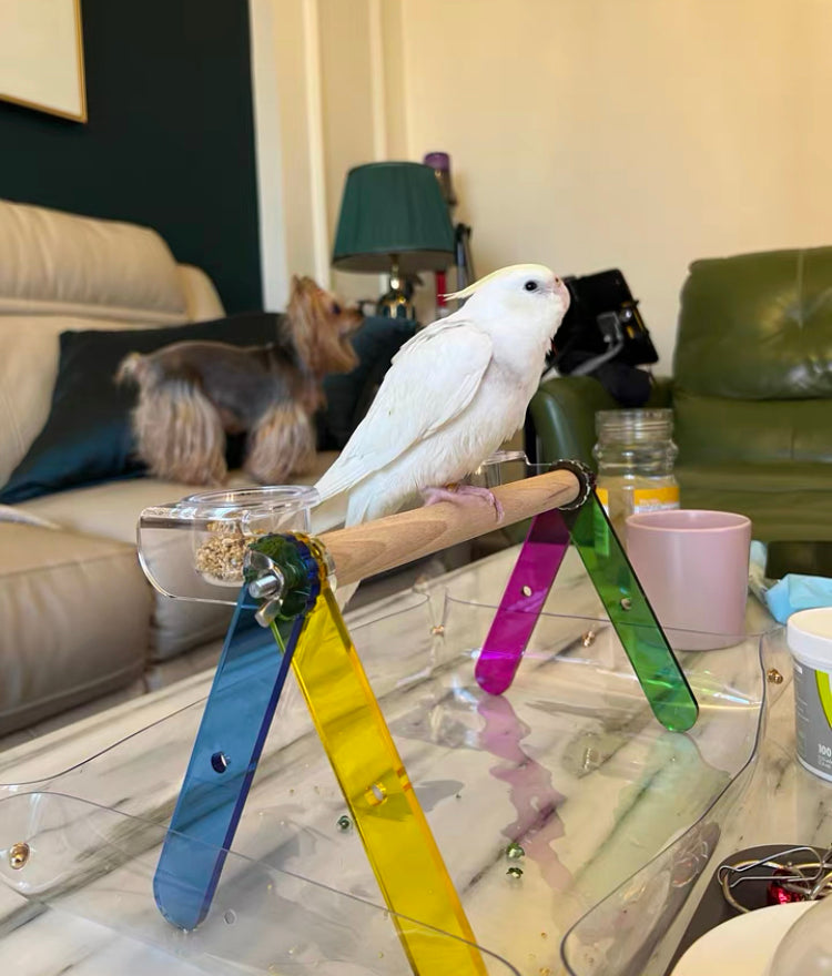 Handmade Foldable Acrylic Stand with Wooden Branch with Plastic Pad Organic Bird Cages Accessories Lovebird Budgie Pacific Parrotlet