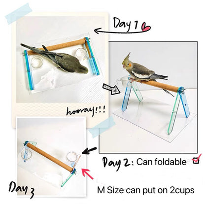 Handmade Foldable Acrylic Stand with Wooden Branch with Plastic Pad Organic Bird Cages Accessories Lovebird Budgie Pacific Parrotlet