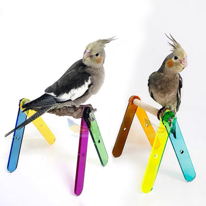 Handmade Foldable Acrylic Stand with Wooden Branch with Plastic Pad Organic Bird Cages Accessories Lovebird Budgie Pacific Parrotlet