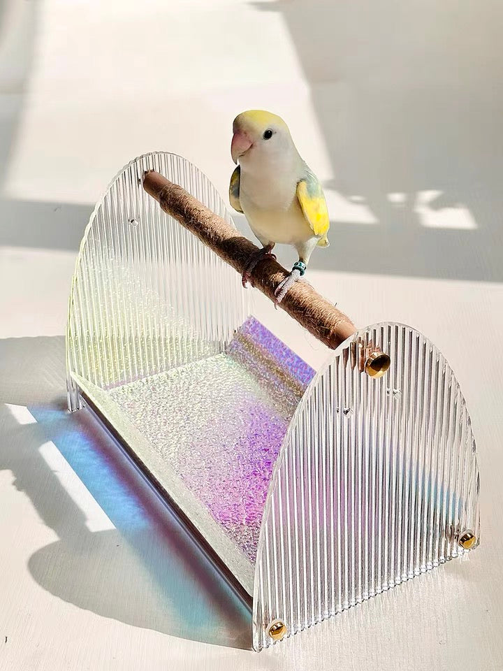 Acrylic bird carrier best sale