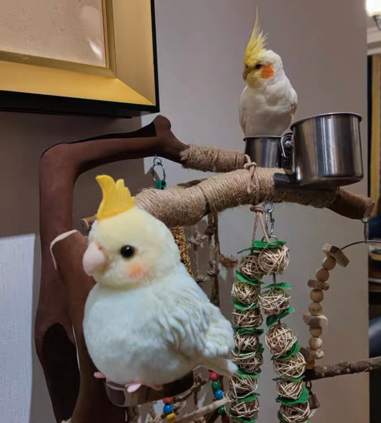 Cockatiel Plush Doll