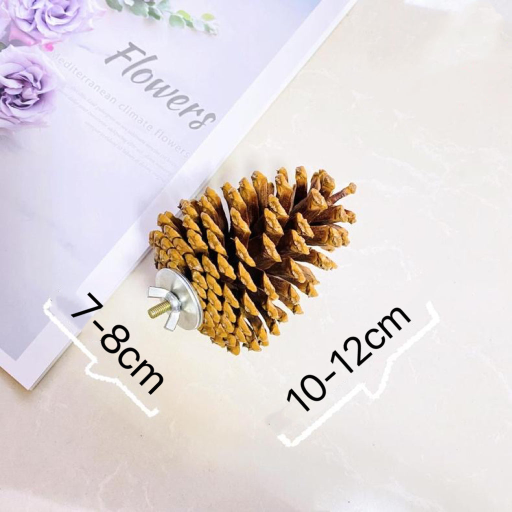 Handmade Big Pine Cones Stand & Bite Toys for Parrot Bird Toys Organic Bird Cages Accessories Lovebird Budgie Pacific Parrotlet