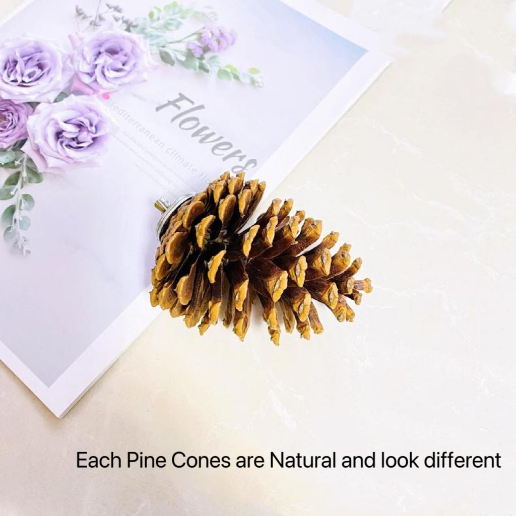 Handmade Big Pine Cones Stand & Bite Toys for Parrot Bird Toys Organic Bird Cages Accessories Lovebird Budgie Pacific Parrotlet