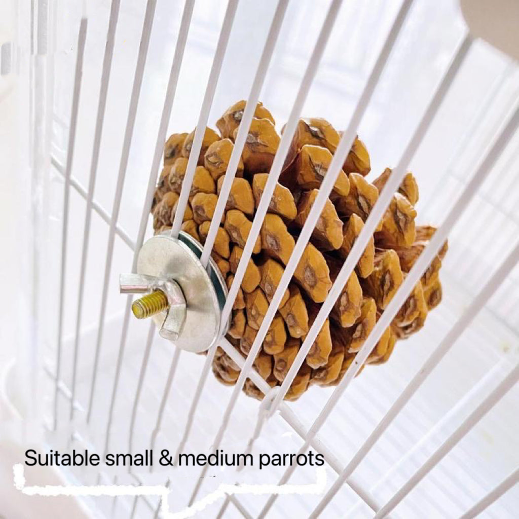 Handmade Big Pine Cones Stand & Bite Toys for Parrot Bird Toys Organic Bird Cages Accessories Lovebird Budgie Pacific Parrotlet