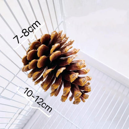 Handmade Big Pine Cones Stand & Bite Toys for Parrot Bird Toys