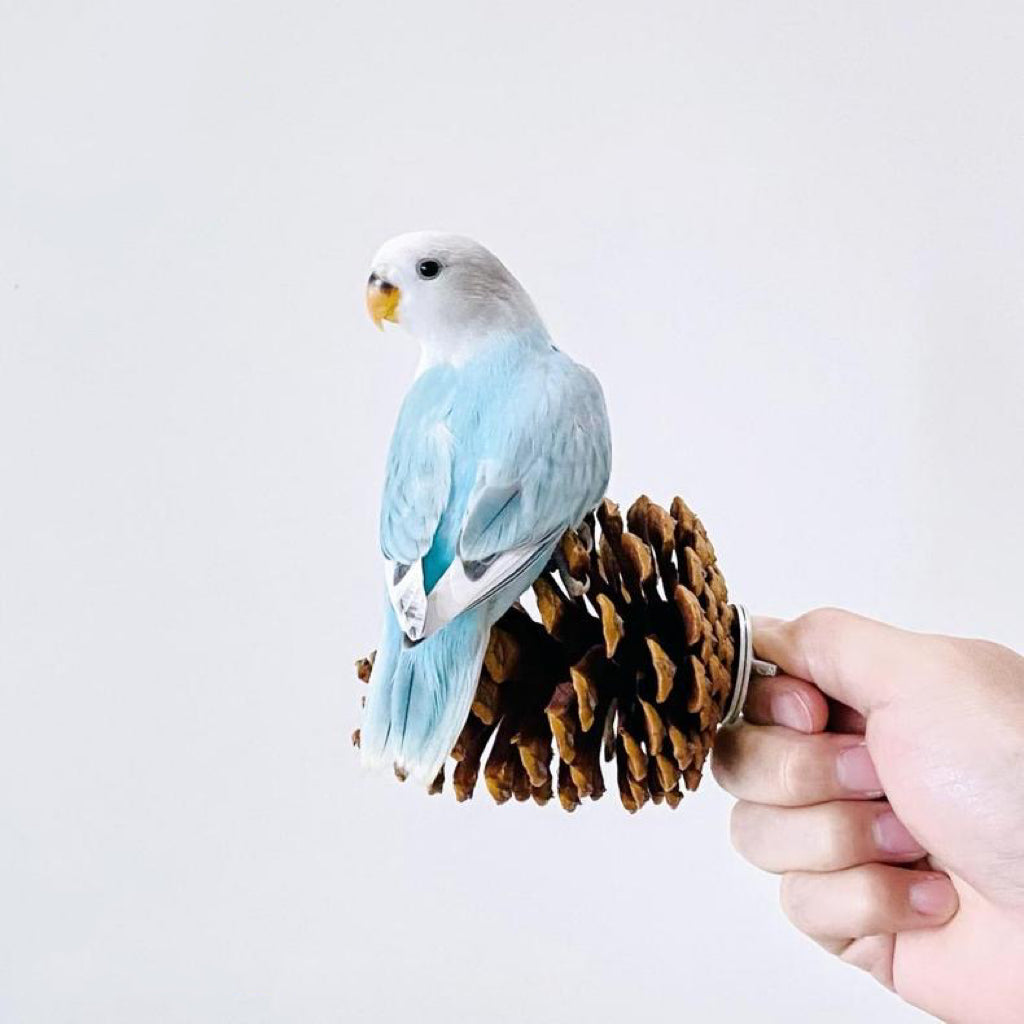 Handmade Big Pine Cones Stand & Bite Toys for Parrot Bird Toys