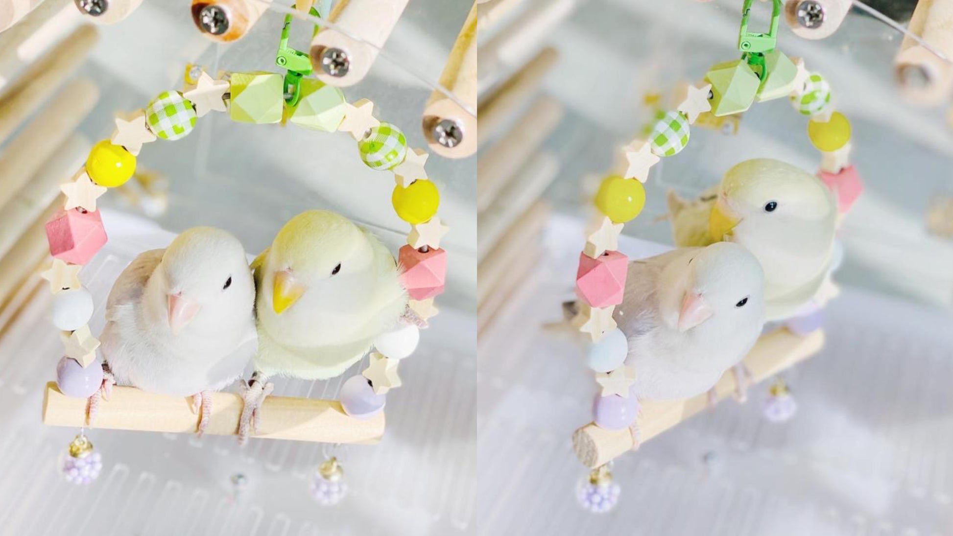 Wooden Swings Handmade Bird Toys Organic Bird Cages Accessories 