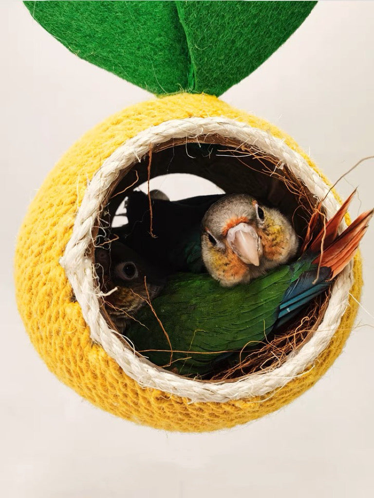 Fruit Style Natural Coconut Shell with Hemp Parrot Room