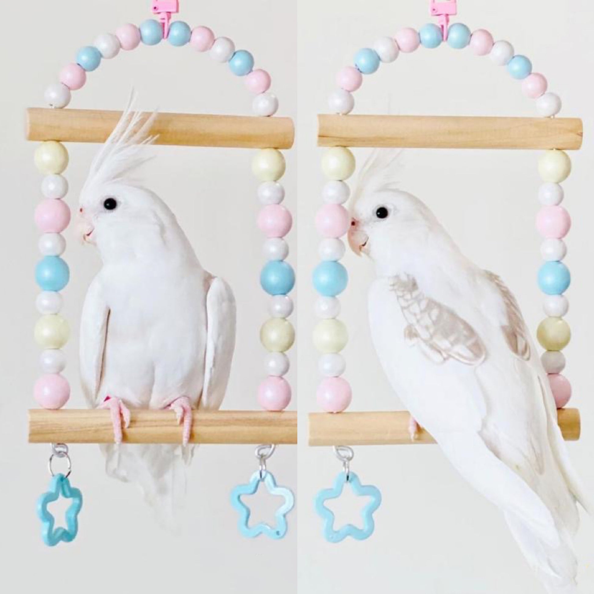 Pastel Macarons & Stars Frame Round Wooden Swing Handmade Bird Toys Organic Bird Cages Accessories