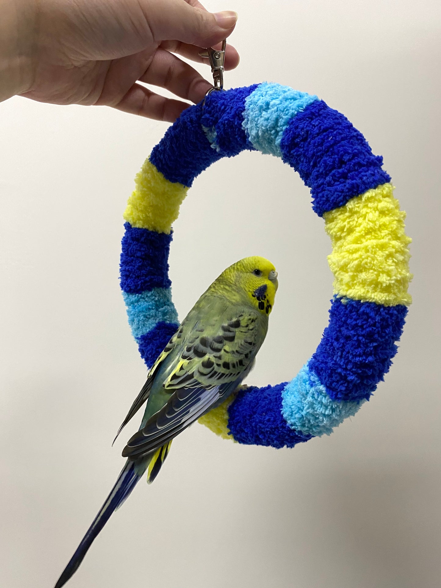 +Handmade+17.5cm SunRise Blue Light Blue Yellow Yarn Knitting Ring Swings Warm Parrot Birdie Toy