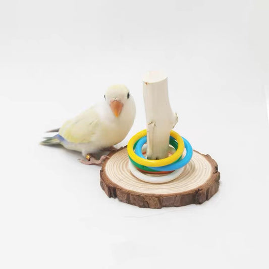 Parrot Stacking Ring Toy for Small and Medium Parrot Bird Intelligence Training Toy