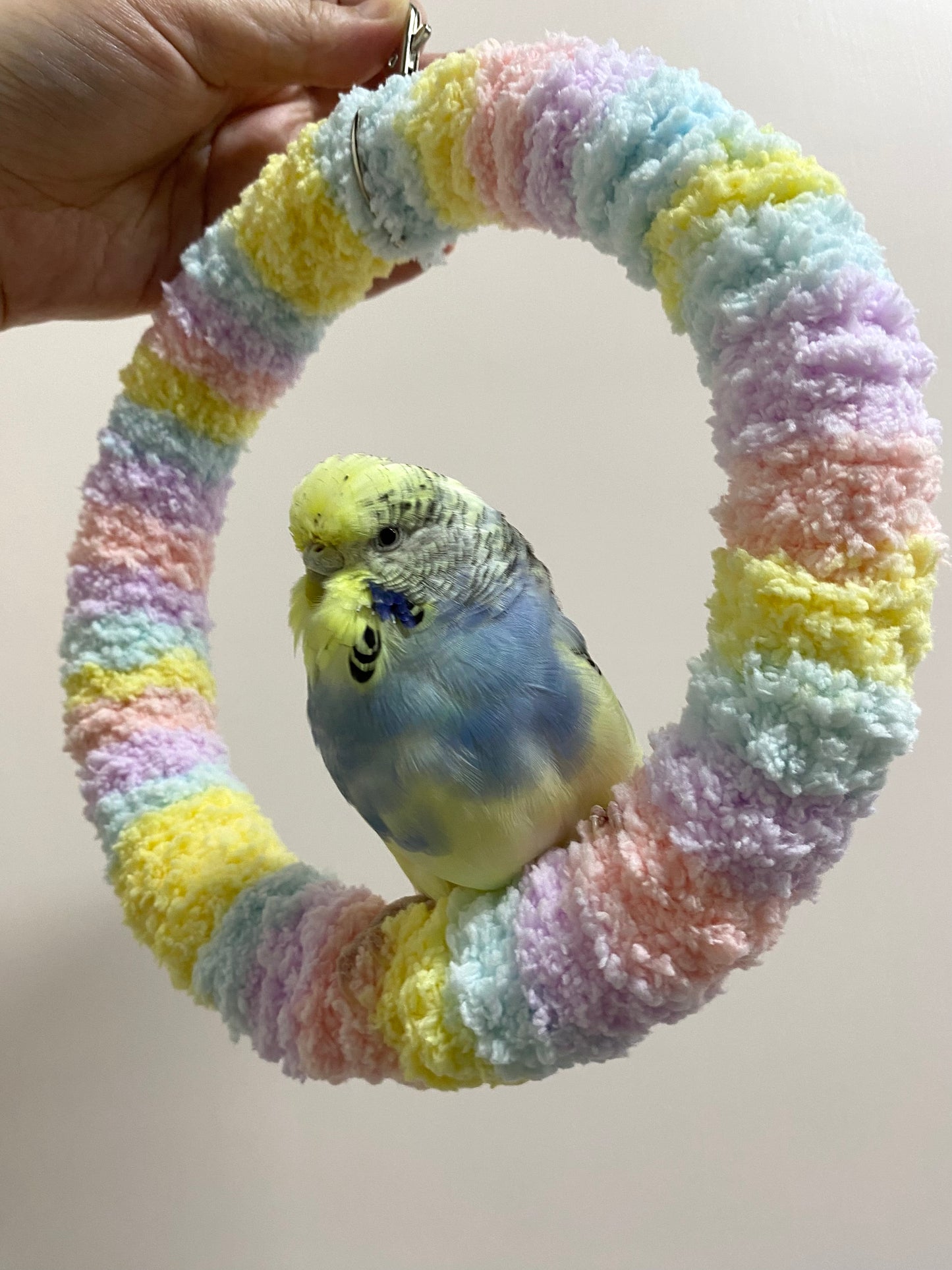 +Handmade+17.5cm Pastel Macaron Yarn Knitting Ring Swings Parrot Birdie Toy