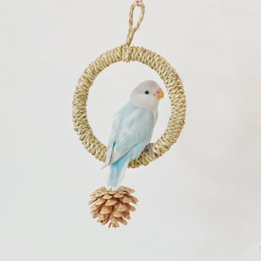 Seagrass Swings with Pine Cones Parrot Handmade Bird Toys 